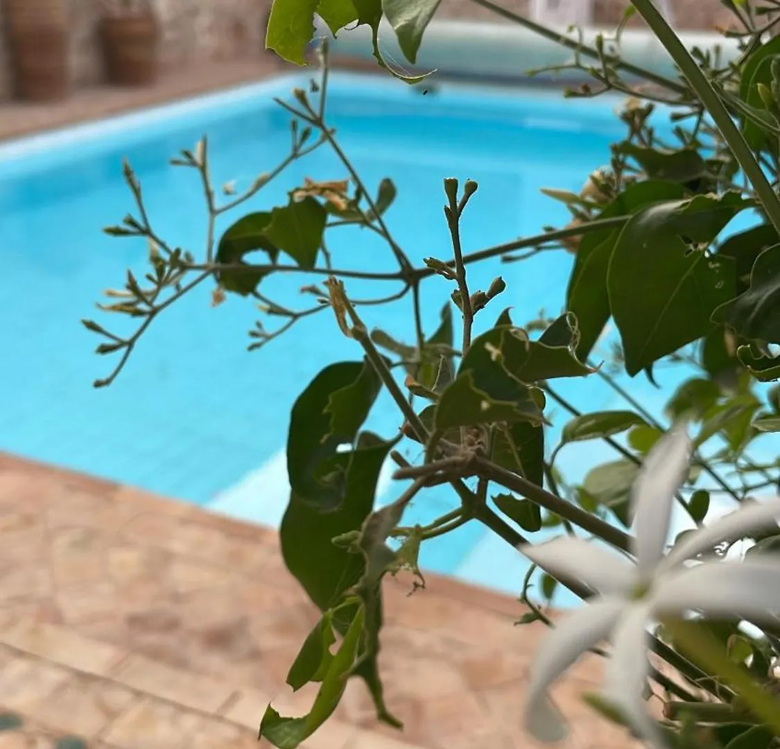 Riad Albayda Suite-Terrasse Piscine Essaouira Bed & Breakfast