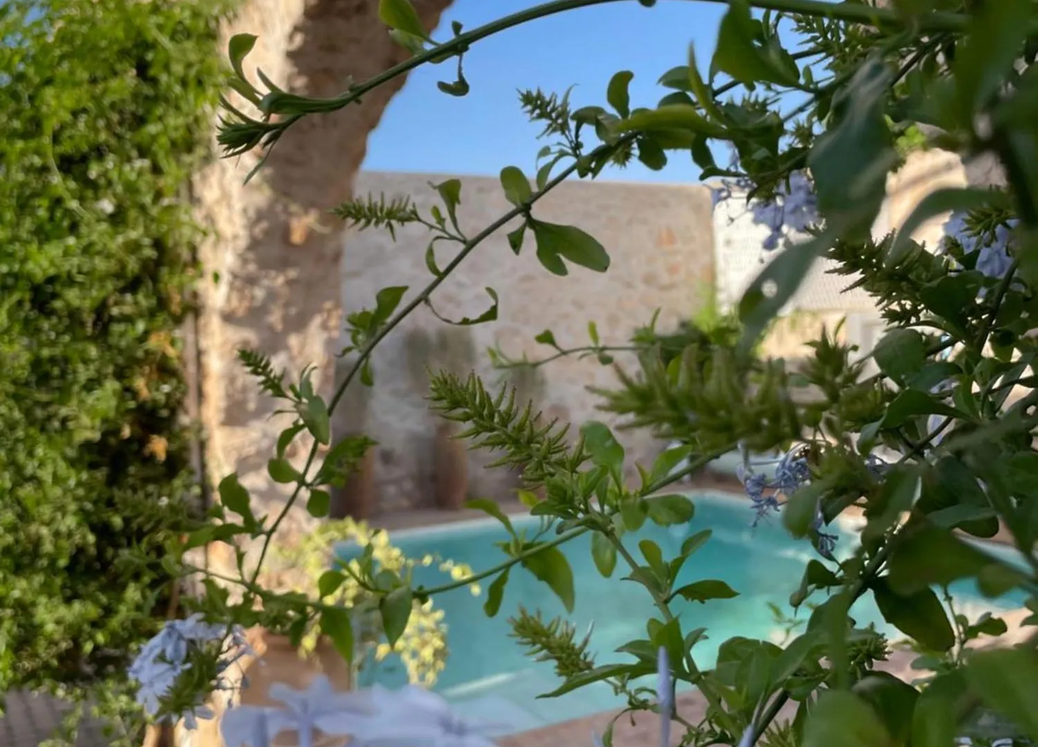 Bed & Breakfast Riad Albayda Suite-Terrasse Piscine Essaouira